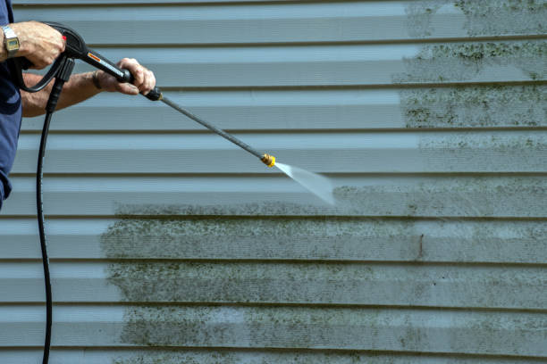 Trusted Ely, IA Pressure Washing Experts